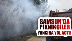 Samsun’da Piknikçiler Yangına Yol Açtı!