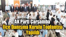 AK Parti Çarşamba İlçe Danışma Kurulu Toplantısı Yapıldı