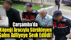 Çarşamba’da Köpeği Aracıyla Sürükleyen Şahıs Adliyeye Sevk Edildi!