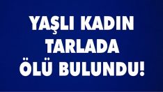 Yaşlı Kadın Tarlada Ölü Bulundu!
