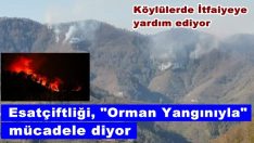 Esatçiftliği, orman yangınıyla mücadele ediyor