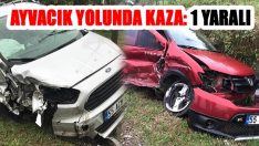 Ayvacık Yolunda Kaza: 1 Yaralı
