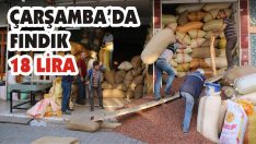 Çarşamba’da Fındık 18 Lira