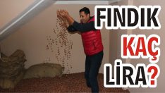 Fındık Kaç Lira?