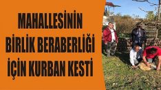 Mahallesinin Birlik Beraberliği İçin Kurban Kesti