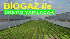 BİOGAZ ile üretim yapılacak