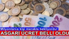 Asgari ücret belli oldu!  2020 yılında asgari ücret ne kadar oldu?