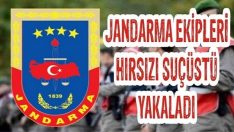 Jandarma Ekipleri Hırsızı Suçüstü Yakaladı