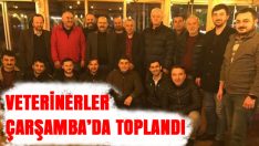 Veterinerler Çarşamba’da Toplandı