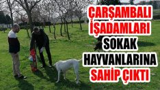 Çarşambalı İşadamları Sokak Hayvanlarına Sahip Çıktı