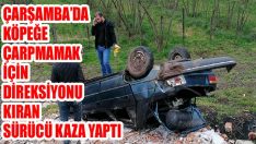 Çarşamba’da Köpeğe Çarpmamak İçin Direksiyonu Kıran Sürücü Kaza Yaptı