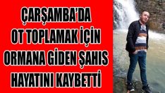 Çarşamba’da Ot Toplamak İçin Ormana Giden Şahıs Hayatını Kaybetti