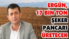 Ergün, 17 Bin Ton Şeker Pancarı Üretecek