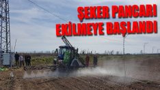 Şeker Pancarı Ekilmeye Başlandı
