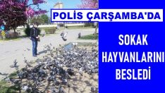POLİS GÜVERCİNLERİ BESLEDİ