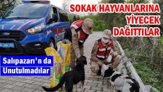 Salıpazarı’n da sokak hayvanları beslendi