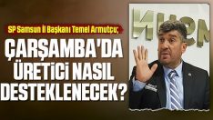 Çarşamba’da Üretici Nasıl Desteklenecek?