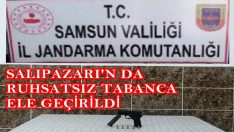 JANDARMA RUHSATSIZ SİLAH ELE GEÇİRDİ