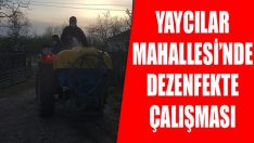 Yaycılar Mahallesi’nde Dezenfekte Çalışması