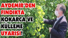Aydemir’den Fındıkta Kokarca ve Külleme Uyarısı!