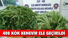 408 Kök Kenevir Ele Geçirildi