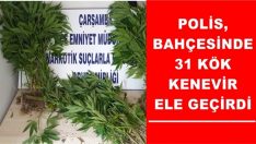 Polis, 31 kök Hint keneviri ele geçirdi