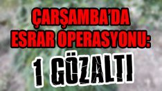 Çarşamba’da Esrar Operasyonu: 1 Gözaltı