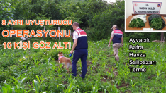 Samsun’un ilçelerinde uyuşturucu operasyonu. 10 şüpheli göz altına alındı