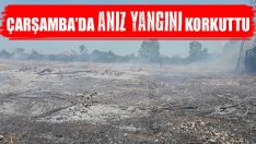 Çarşamba’da Anız Yangını Korkuttu