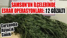 Samsun’un İlçelerinde Esrar Operasyonları: 12 Gözaltı