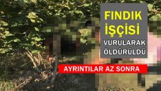 Fındık İşçisi vurularak öldürüldü
