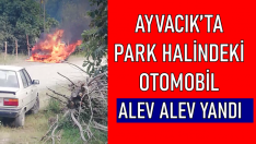 AYVACIKTA PARK HALİNDEKİ OTOMOBİL ALEV ALEV YANDI