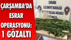 Çarşamba’da Esrar Operasyonu: 1 Gözaltı