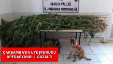 Çarşamba’da Uyuşturucu Operasyonu: 1 Gözaltı