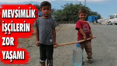 Mevsimlik İşçilerin Zor Yaşamı