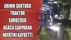 Arının Soktuğu Traktör Sürücüsü Ağaca Çarparak Hayatını Kaybetti
