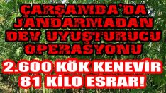 Çarşamba’da Jandarmadan Dev Uyuşturucu Operasyonu