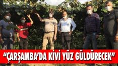 “Çarşamba’da Kivi Yüz Güldürecek”