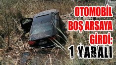 Otomobil Boş Arsaya Girdi: 1 Yaralı