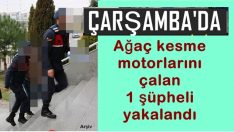 Çarşamba’da ağaç kesme motorlarını çalan şüpheli  yakalandı