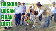 Başkan Doğan Fidan Dikti