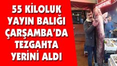 55 Kiloluk Yayın Balığı Çarşamba’da Tezgahta Yerini Aldı