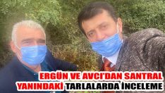 Ergün ve Avcı’dan Santral Yanındaki Tarlalarda İnceleme