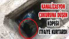 Kanalizasyon Çukuruna Düşen Köpeği İtfaiye Kurtardı