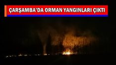 ÇARŞAMBA’DA ORMAN YANGINLARI ÇIKTI