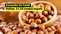 Çarşamba’da Fındık haftayı 21.25 Liradan kapattı