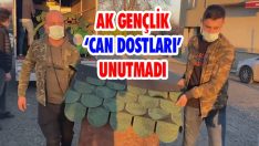 AK Gençlik ‘Can Dostları’ Unutmadı