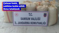 Çalınan fındık sahibine teslim edildi-hırsız tutuklandı
