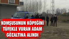 Komşusunun Köpeğini Tüfekle Vuran Adam Gözaltına Alındı