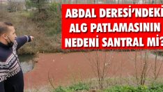 Abdal Deresi’ndeki Alg Patlamasının Nedeni Santral mi?